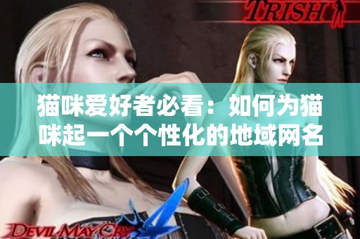 猫咪爱好者必看：如何为猫咪起一个个性化的地域网名