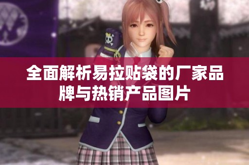 全面解析易拉贴袋的厂家品牌与热销产品图片