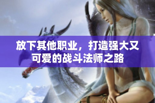 放下其他职业，打造强大又可爱的战斗法师之路