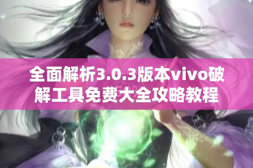 全面解析3.0.3版本vivo破解工具免费大全攻略教程