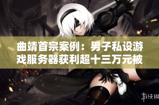 曲靖首宗案例：男子私设游戏服务器获利超十三万元被刑拘