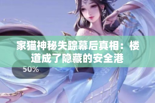 家猫神秘失踪幕后真相：楼道成了隐藏的安全港