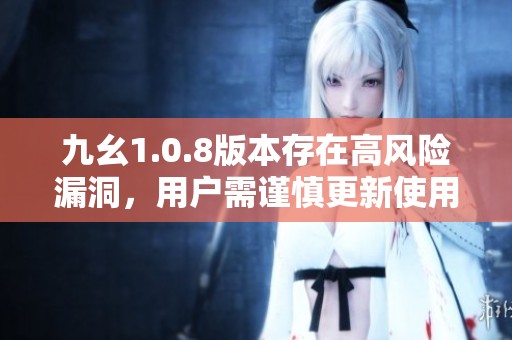 九幺1.0.8版本存在高风险漏洞，用户需谨慎更新使用