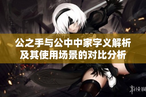 公之手与公中中家字义解析及其使用场景的对比分析