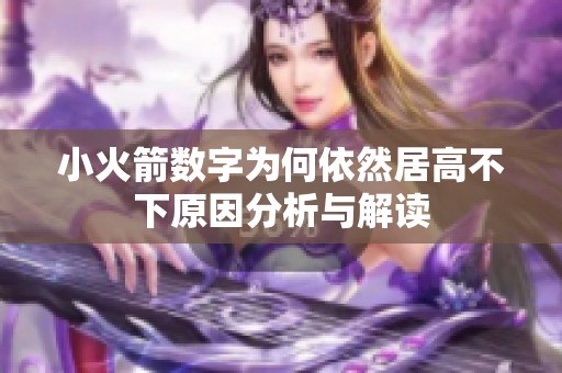 小火箭数字为何依然居高不下原因分析与解读