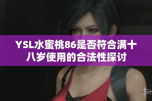 YSL水蜜桃86是否符合满十八岁使用的合法性探讨
