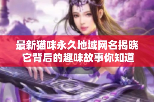 最新猫咪永久地域网名揭晓 它背后的趣味故事你知道吗