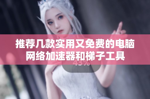 推荐几款实用又免费的电脑网络加速器和梯子工具