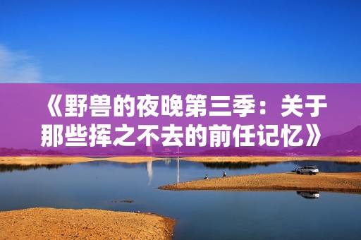 《野兽的夜晚第三季：关于那些挥之不去的前任记忆》