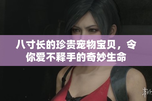 八寸长的珍贵宠物宝贝，令你爱不释手的奇妙生命