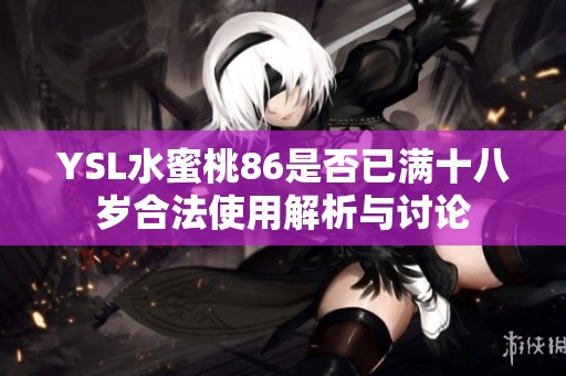 YSL水蜜桃86是否已满十八岁合法使用解析与讨论