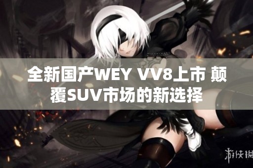 全新国产WEY VV8上市 颠覆SUV市场的新选择