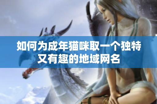 如何为成年猫咪取一个独特又有趣的地域网名