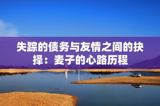 失踪的债务与友情之间的抉择：麦子的心路历程