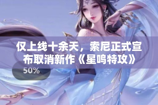 仅上线十余天，索尼正式宣布取消新作《星鸣特攻》