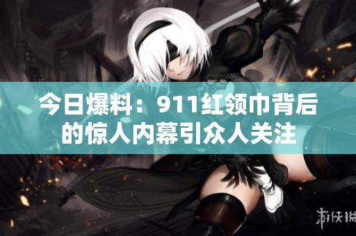 今日爆料：911红领巾背后的惊人内幕引众人关注