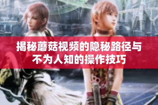揭秘蘑菇视频的隐秘路径与不为人知的操作技巧