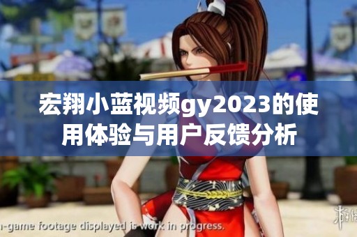 宏翔小蓝视频gy2023的使用体验与用户反馈分析