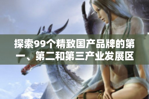 探索99个精致国产品牌的第一、第二和第三产业发展区域