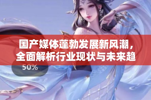 国产媒体蓬勃发展新风潮，全面解析行业现状与未来趋势