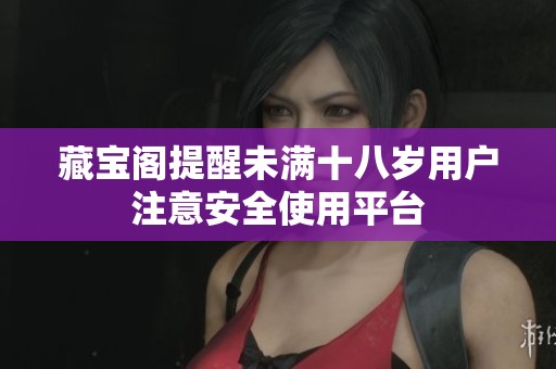 藏宝阁提醒未满十八岁用户注意安全使用平台