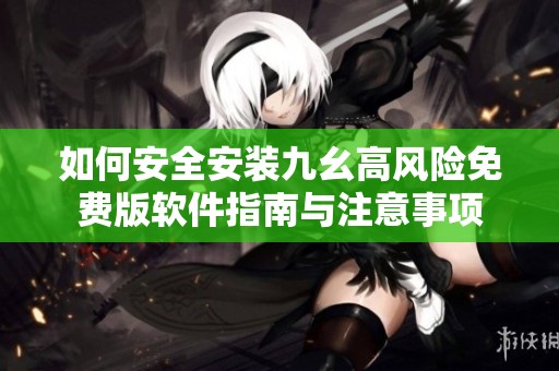 如何安全安装九幺高风险免费版软件指南与注意事项