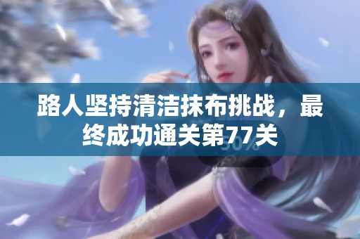路人坚持清洁抹布挑战，最终成功通关第77关
