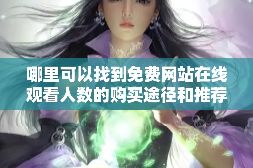 哪里可以找到免费网站在线观看人数的购买途径和推荐平台