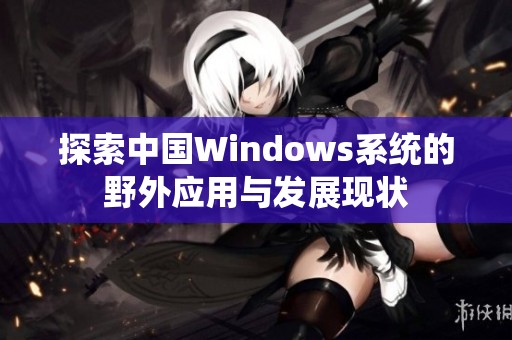 探索中国Windows系统的野外应用与发展现状