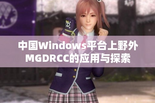 中国Windows平台上野外MGDRCC的应用与探索