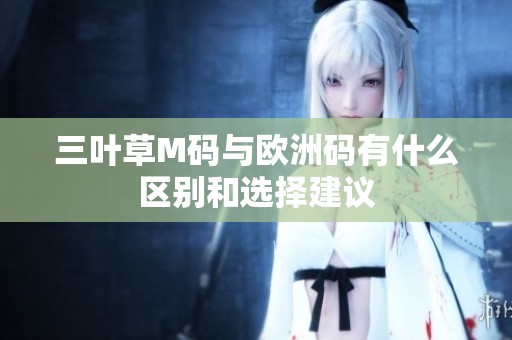 三叶草M码与欧洲码有什么区别和选择建议