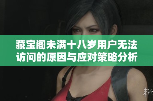 藏宝阁未满十八岁用户无法访问的原因与应对策略分析