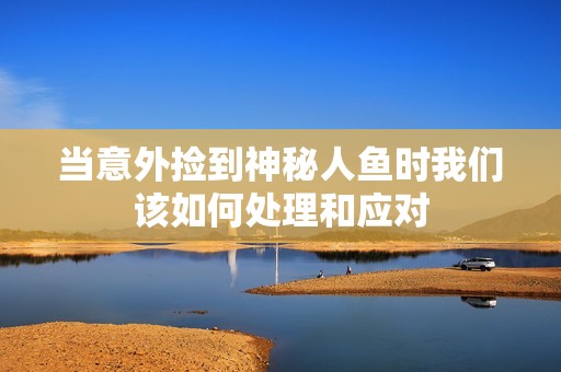 当意外捡到神秘人鱼时我们该如何处理和应对