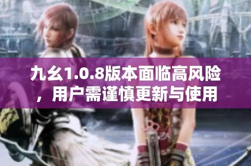九幺1.0.8版本面临高风险，用户需谨慎更新与使用