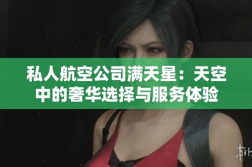 私人航空公司满天星：天空中的奢华选择与服务体验