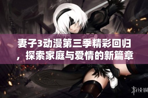 妻子3动漫第三季精彩回归，探索家庭与爱情的新篇章