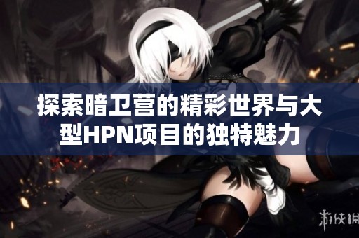 探索暗卫营的精彩世界与大型HPN项目的独特魅力