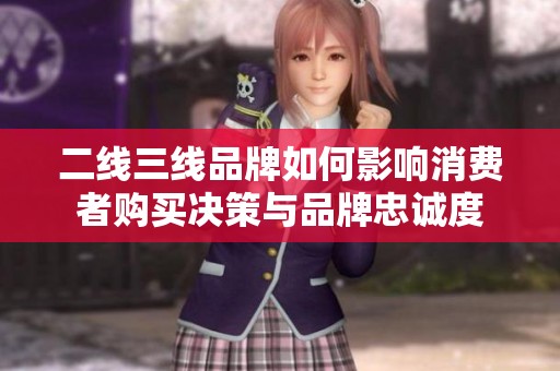二线三线品牌如何影响消费者购买决策与品牌忠诚度