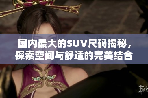 国内最大的SUV尺码揭秘，探索空间与舒适的完美结合