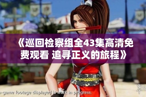 《巡回检察组全43集高清免费观看 追寻正义的旅程》