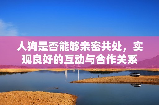 人狗是否能够亲密共处，实现良好的互动与合作关系