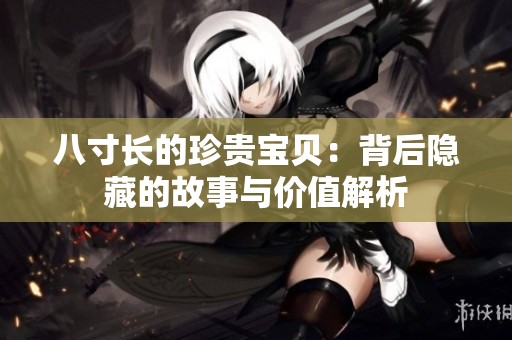 八寸长的珍贵宝贝：背后隐藏的故事与价值解析