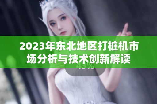 2023年东北地区打桩机市场分析与技术创新解读