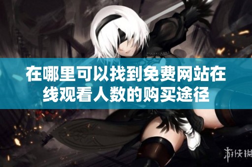 在哪里可以找到免费网站在线观看人数的购买途径