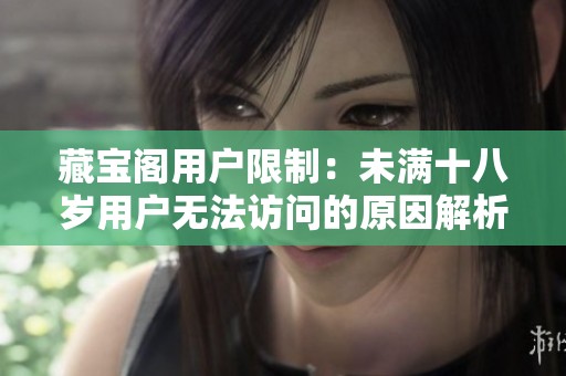 藏宝阁用户限制：未满十八岁用户无法访问的原因解析