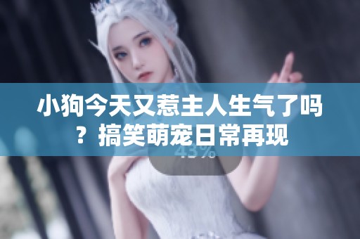 小狗今天又惹主人生气了吗？搞笑萌宠日常再现