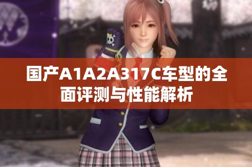 国产A1A2A317C车型的全面评测与性能解析
