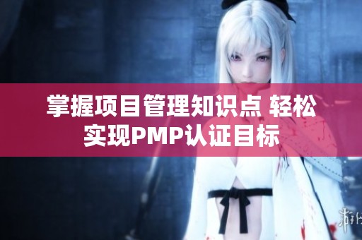 掌握项目管理知识点 轻松实现PMP认证目标