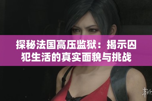 探秘法国高压监狱：揭示囚犯生活的真实面貌与挑战