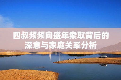 四叔频频向盛年索取背后的深意与家庭关系分析